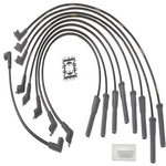 Order High Performance Ignition Wire Set by BLUE STREAK - 10005 For Your Vehicle